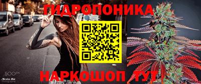 jwh Кузнецк