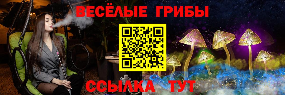 Галлюциногенные грибы GOLDEN TEACHER  Галлюциногенные грибы Cubensis  Вход с VPN  Ивантеевка 